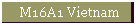 M16A1 Vietnam