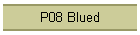 P08 Blued