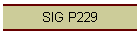 SIG P229